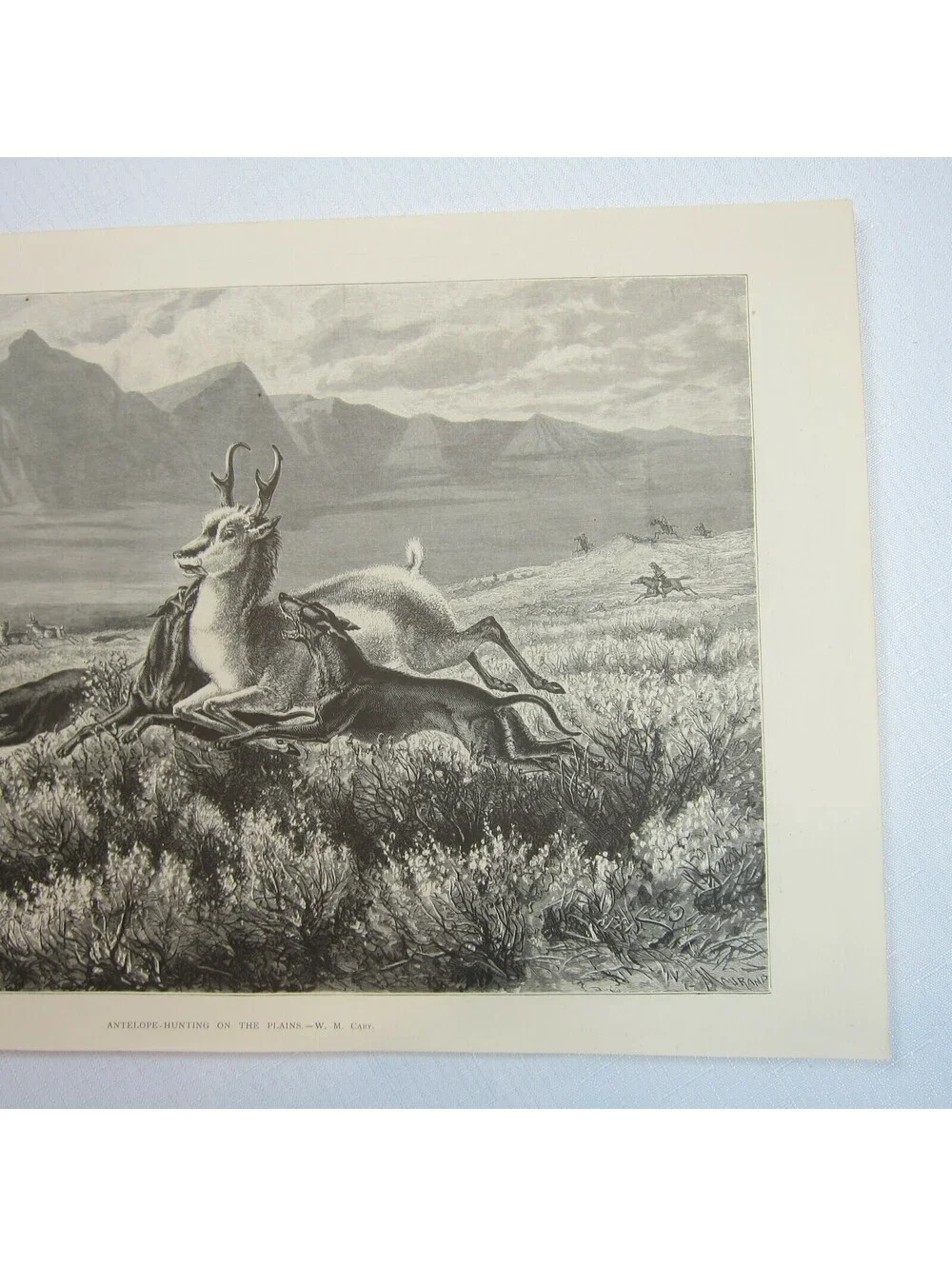 Antique 1874 Engraving Print Antelope-Hunting on the Plains, WM Cary, The Aldine